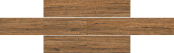 Tulip Brown